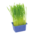 785601.png