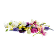 785873.png