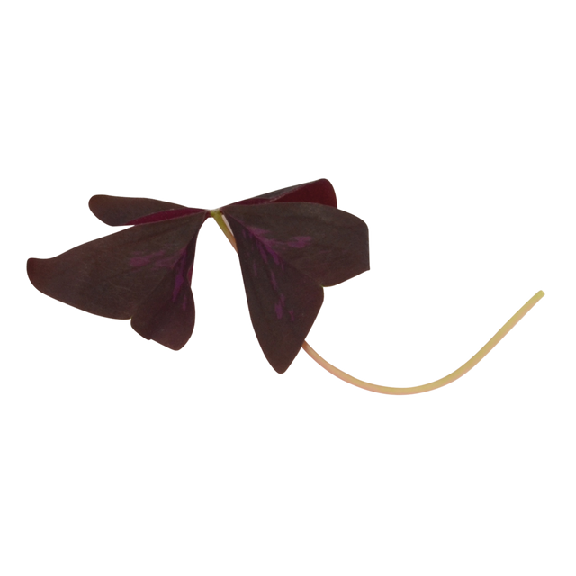786780.png