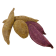 788252.png