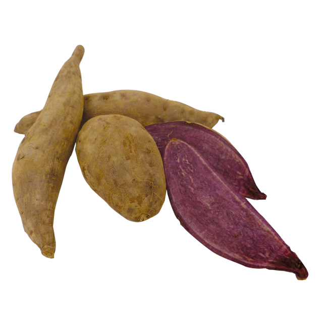 788252.png