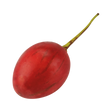 791024.png