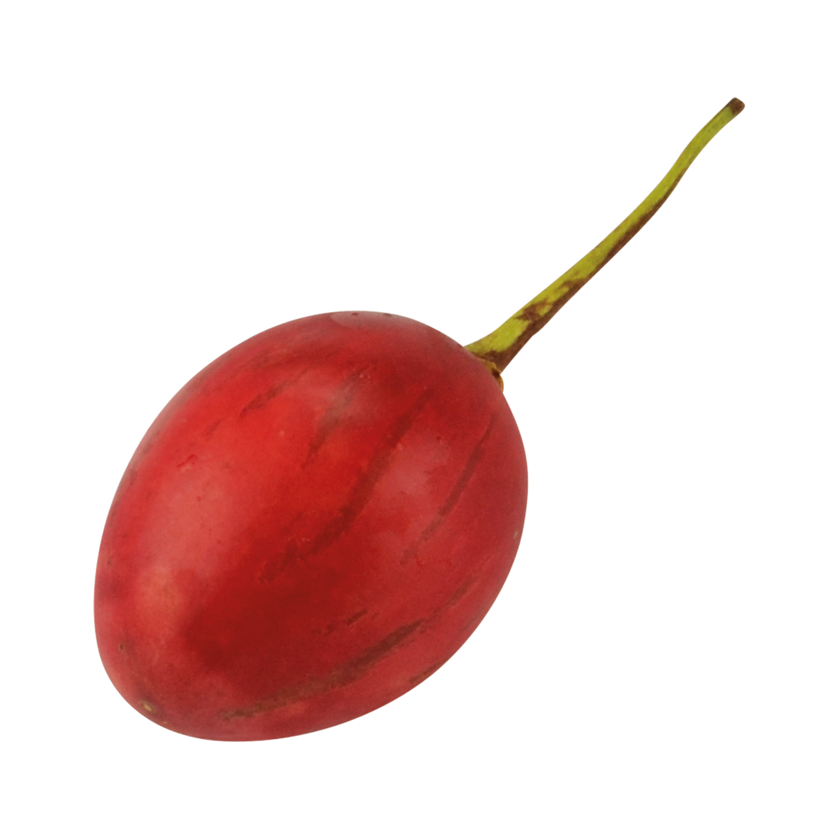 791024.png