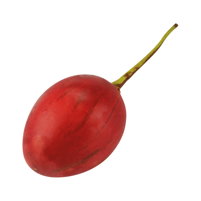 791024.png