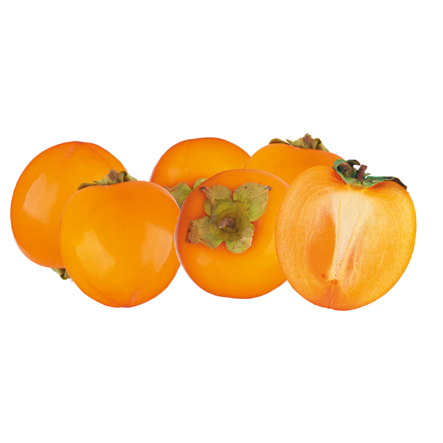 791202.png