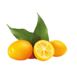 791229.png