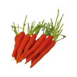791466.png