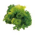 793221.png