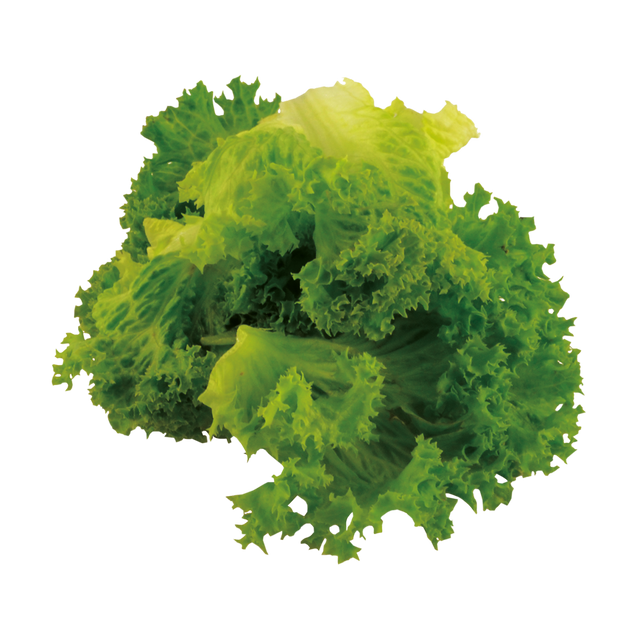 793221.png