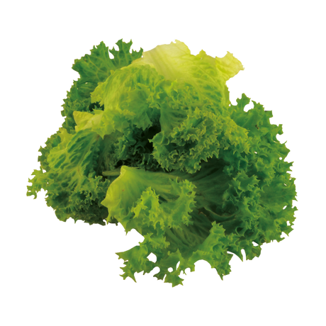 793221.png