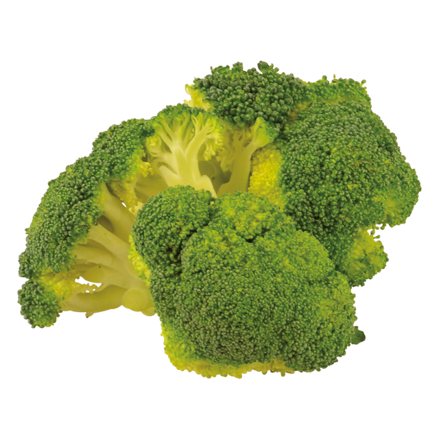 793450.png