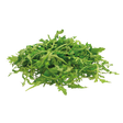 793744.png