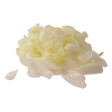 794198.png