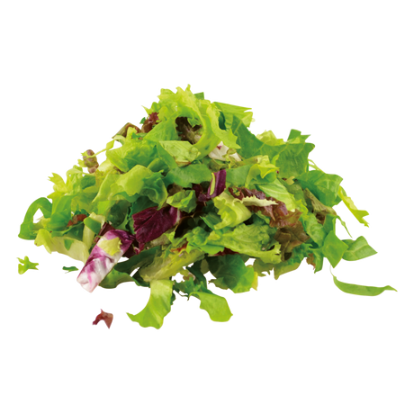794376.png