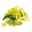 794724.png