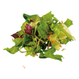 795275.png