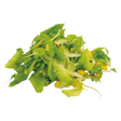 795542.png