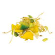 795879.png