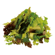 795933.png