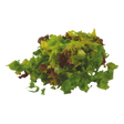 797723.png