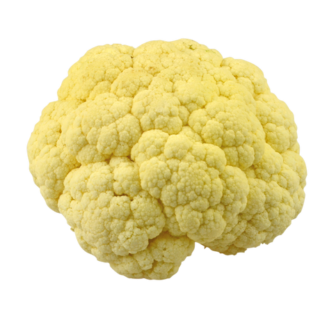 797952.png