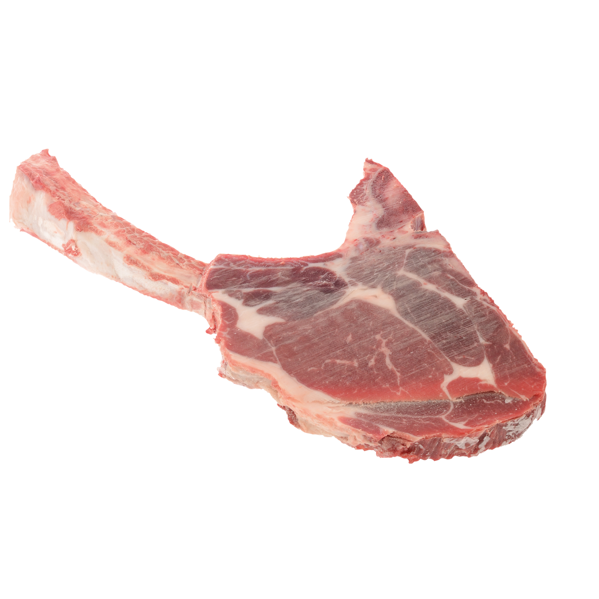 827231.png