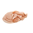 831328.png