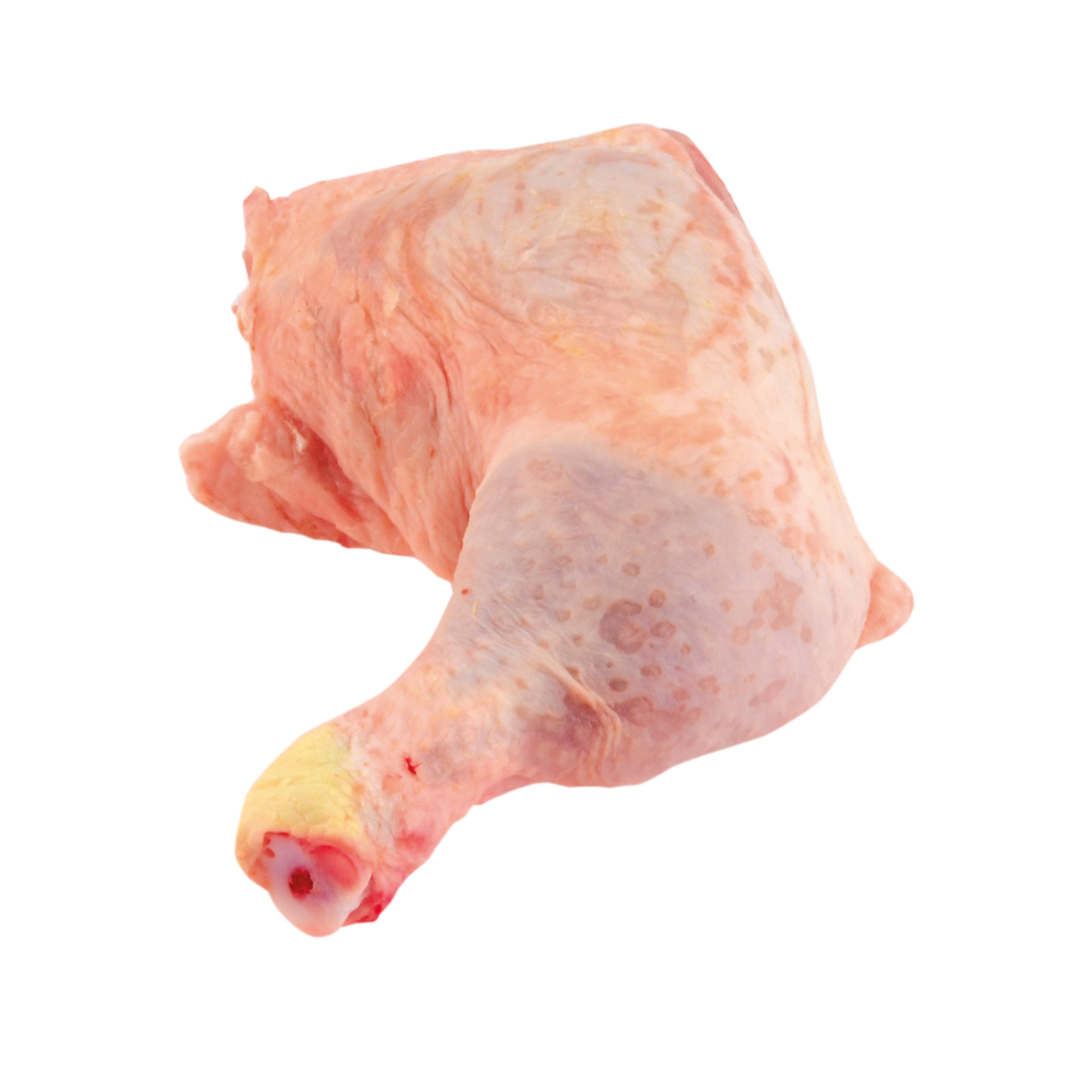 838071.png